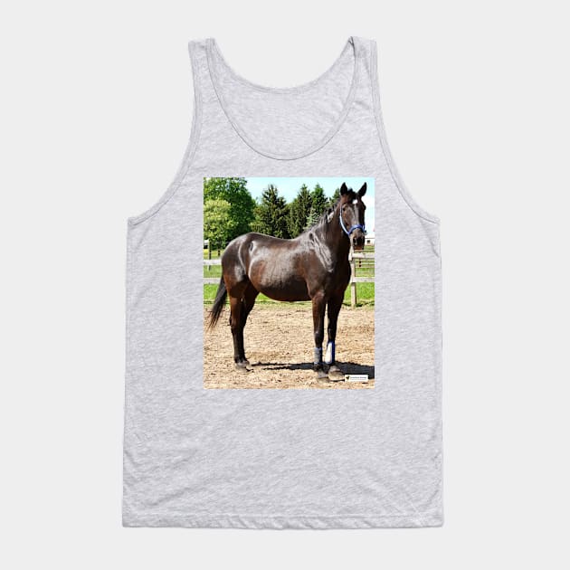 Russ Tank Top by SunshineHorses